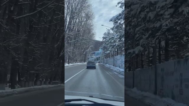 Алматы. Дорога вверх на Медео. Февраль 2022. Kazakhstan. Almaty. Medeo. February смотреть онлайн