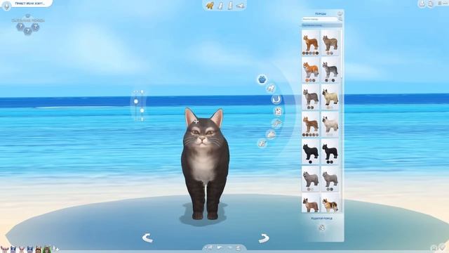 THE SIMS 4 - ЧУДО ГЕНЕТИКИ - УГАРНЫЕ КОТЕЙКИ (СИМС 4) смотреть онлайн