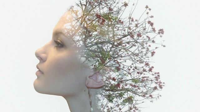 «ПРОПОЛКА» ПОДСОЗНАНИЯ. ПРАКТИКА ИЗБАВЛЕНИЯ ОТ НЕГАТИВНЫХ РЕАКЦИЙ.