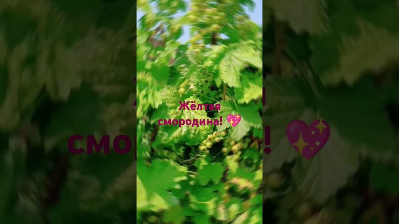 скоро будут ягоды смотреть онлайн