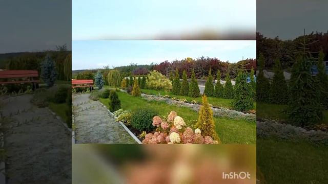 Запрошую на прогулянку до розплідника Агрус. смотреть онлайн