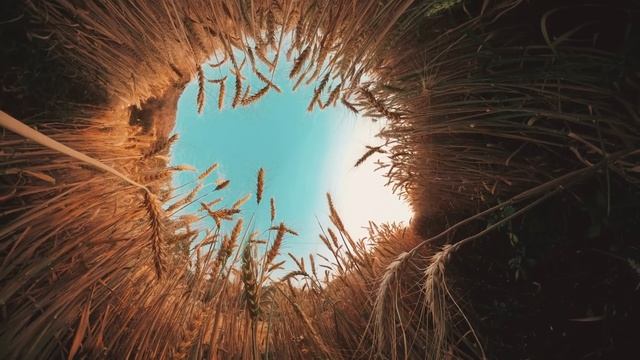 Факт который перечеркивает всю историю. Остатки цивилизаций. смотреть онлайн