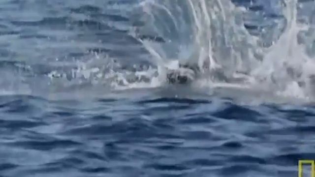 Тихая симфония осени (по мотивам «Снов любви» Саши Кругосветова) смотреть онлайн