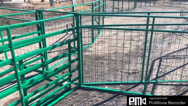 Мобильный загон для ветеринарной обработки овец на пастбище, часть 2