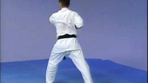 все ката до 9 Кю на карате КИОКУШИНКАЙ