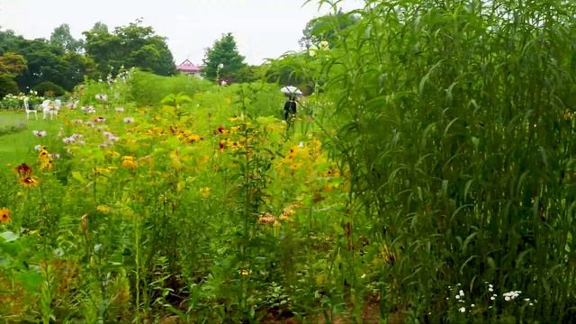 HOKKAIDO. Shichiku Garden - powered by Ms.Akiyo Shichiku. #4K #紫竹ガーデン смотреть онлайн