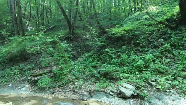 Гебиусские водопады -3 часть. Экотропа. Вдоль реки Тешебс к водопадам. Краснодарский край. смотреть онлайн