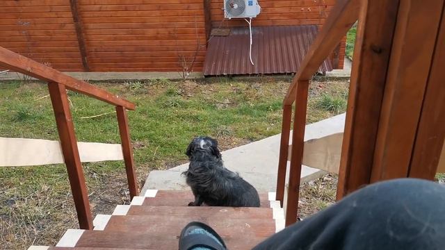 Сочи. Горное Лоо. +7°C. 3.02.2023г.© смотреть онлайн