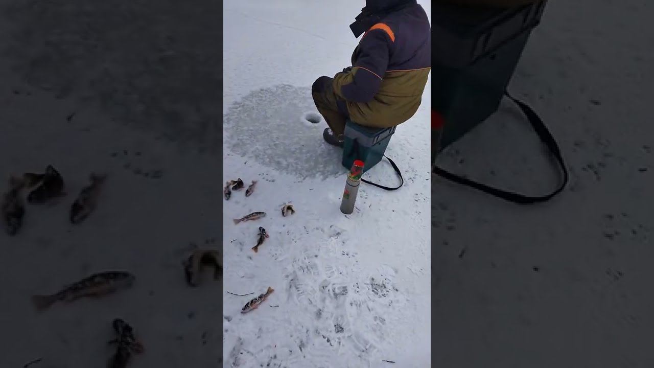 19 января 2022 г. смотреть онлайн