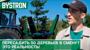 130 лунок или 50 деревьев? Bystron и его скорость пересадки