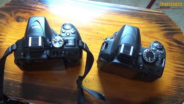 Сравнение зеркалок Nikon d3100 vs d5300 смотреть онлайн