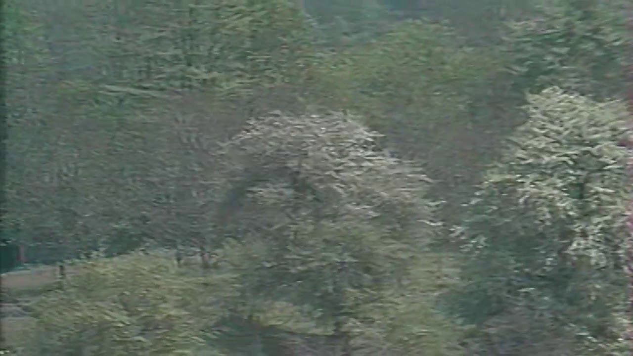 Валерий Сагкаев - осетинский певец, композитор, автор песен, поэт, народный артист смотреть онлайн