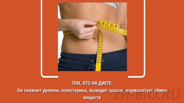 Лимонник Китайский (Лимонник Дальневосточный) смотреть онлайн