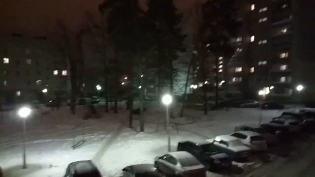 Лось прогуливается по двору в Заречном смотреть онлайн