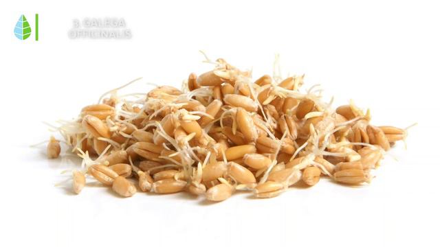 5 PIANTE MEDICINALI per IL DIABETE 🌿 Abbassa lo zucchero naturalmente ✅ смотреть онлайн