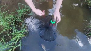 Ловля крупной плотвы на фидер летом 2021.