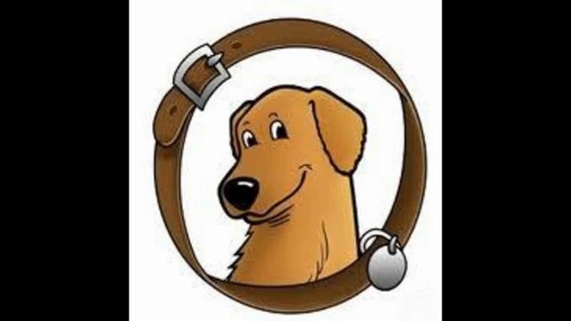 как приручить собаку к поводку смотреть онлайн