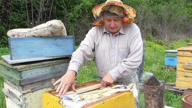 сколько лет держать матку в пчелосемье. смотреть онлайн
