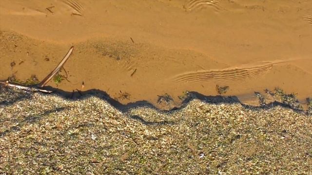 День.Земля.Небо.Вода. смотреть онлайн