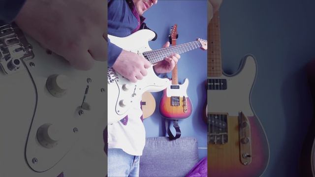 Schecter Nick Johntson Series New Guitar