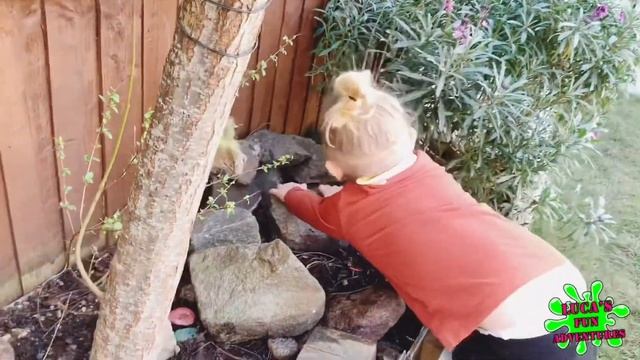 BUG HUNT || PLAY AND HUNT FOR REAL BUGS || BUGS FOR KIDS || NICK BAKERS SNAIL WORLD смотреть онлайн