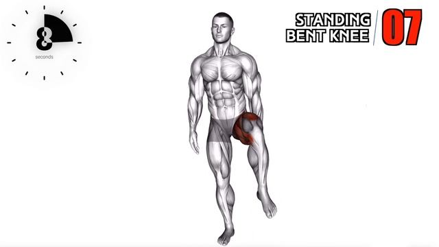 Best Morning Warm Up Stretches Exercises !