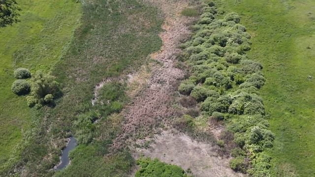 Салтыково Белгородской обл.: следы стока и низина в стоках смотреть онлайн