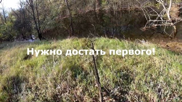 ДАВАЙ ВЗЛЕТАЙ!!! Отличная охота на селезня с подсадной! смотреть онлайн