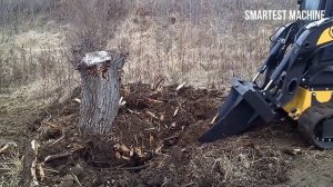 Выкорчёвывание пней, корней, кустов и деревьев с использованием автомобильной и тракторной техники.