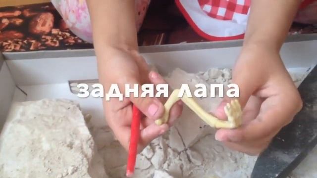 Что подарить ребенку? Игрушка DINO EXCAVATON, обзор. Раскопки ДИНОЗАВРОВ. смотреть онлайн