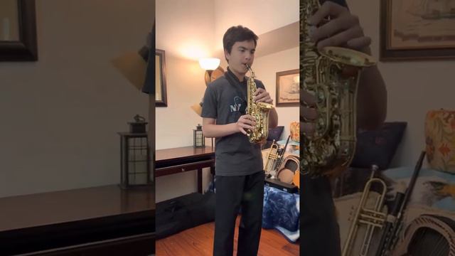 Isn’t She Lovely | Soprano Sax смотреть онлайн