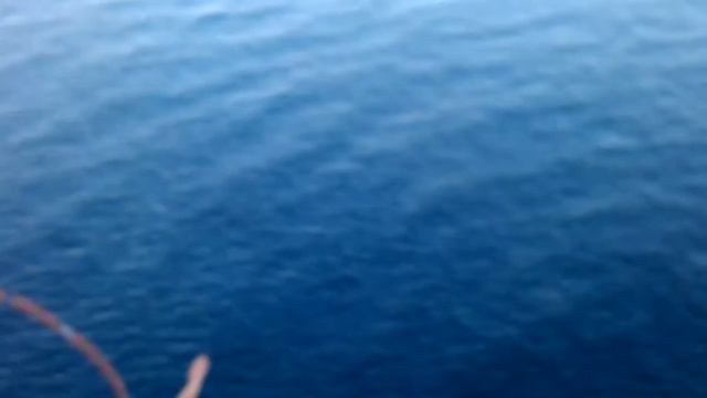 Прыжок с горы Дива высотой 50 метров 2014 год смотреть онлайн
