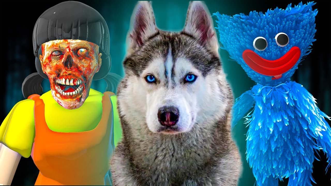 КУКЛА.ЕХЕ против ХАГГИ ВАГГИ и ХАСКИ! Хаски Бандит Говорящая собака смотреть онлайн