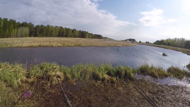 ХОД РЫБЫ ПО КАНАВЕ!!!КАНАВА КИШИТ РЫБОЙ!!!Рыбалка на поплавок!!! смотреть онлайн