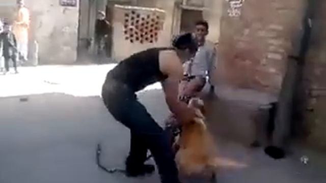 Mbwa kamkomalia jamaa hadi kamvua nguo смотреть онлайн