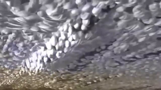 Как работают составы Супротек (Suprotec). Технология Супротек