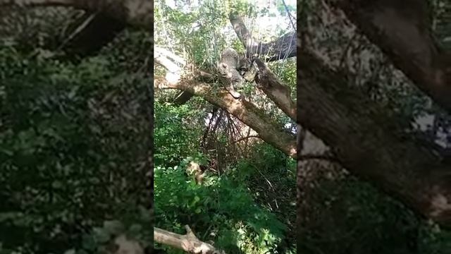 Сходил на рыбалку, называется смотреть онлайн