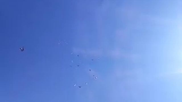 29.10.2023.САЛЬСКИЙ РАЙОН. АЛЕКСАНДР.... ЛОПАНКА.