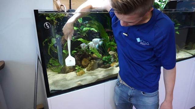 The BEST Algae Scraper from Seachem with Freshwater Joe ? смотреть онлайн
