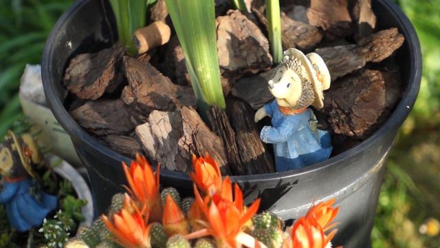 How to use an old barrel in a garden decor. Hedgehogs in the garden смотреть онлайн