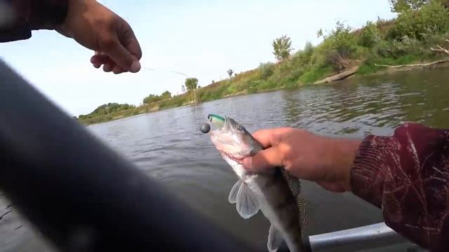Рыбалка на ЩУКУ и СУДАКА ! Рыбалка на джиг осенью! Рыбалка на Оке! смотреть онлайн