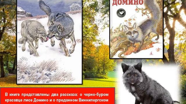 Виртуальное путешествие - «В мире книг Сетона-Томпсона» смотреть онлайн