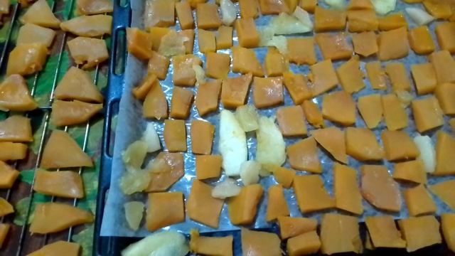 Спорт и Физическая Активность