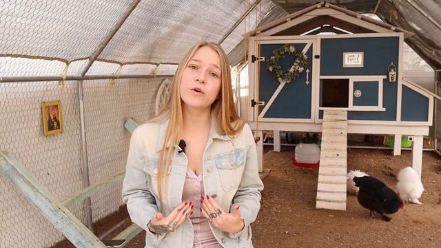 Egg Bound Hen - How to Help Egg Bound Chicken смотреть онлайн
