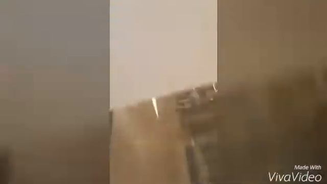 VLOG: Контактный Зоопарк смотреть онлайн