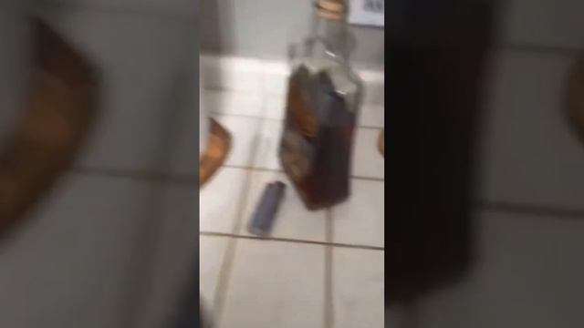 Собака алкоголик — горе в семье смотреть онлайн