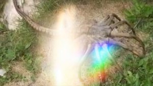 Когтеступ существует ли он на самом деле?