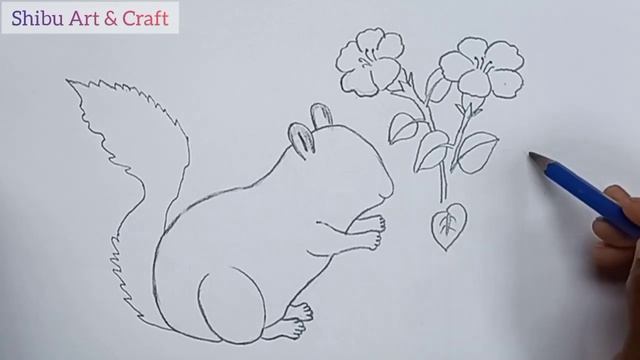 How To Draw Squirrel, Squirrel Drawing, как нарисовать белку, Рисунок белки, كيفية رسم السنجاب