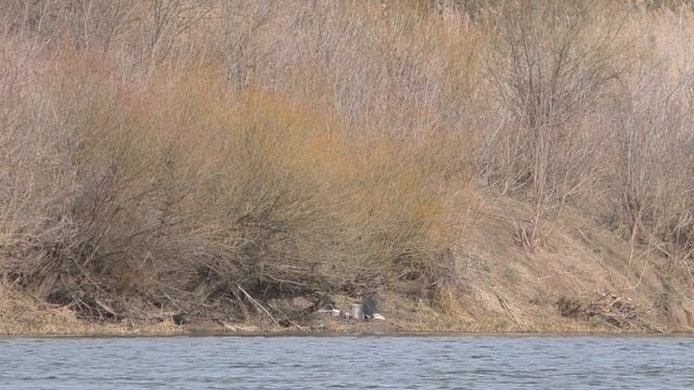 Открытие рыбалки на фидер, рыбалка на донки на реке Дон смотреть онлайн