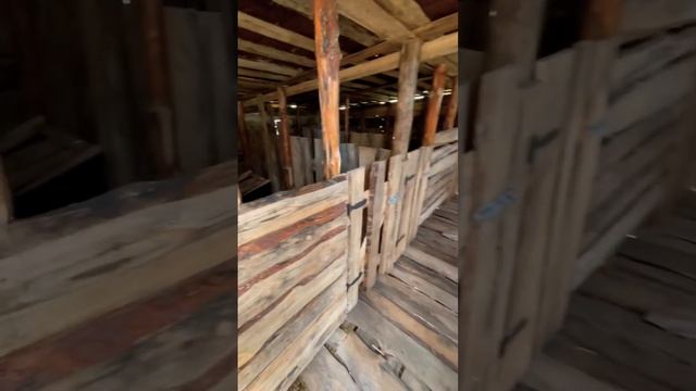 Летний сарай для свиней (поросят), размер 6/5 м., за 5 дней работы. смотреть онлайн